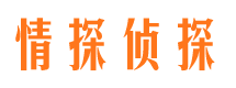 嵊州市婚外情调查